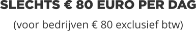 SLECHTS € 80 EURO PER DAG(voor bedrijven € 80 exclusief btw)
